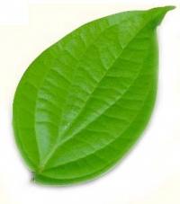 photo-35189.jpg?_r=0