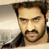 NTR  100's  IN EASTGODAVARI - last post by NTR Badshah
