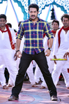 Filename=Rabhasa_072.jpg
Filesize=313KiB
Dimensions=800x1202
Date added=Aug 21, 2014 Rabhasa_072.jpg