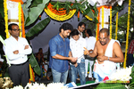 Filename=kick2_opening_25.jpg
Filesize=310KiB
Dimensions=1000x667
Date added=Aug 21, 2014 kick2_opening_25.jpg