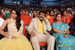 Filename=Lion_Audio_088.jpg
Filesize=234KiB
Dimensions=1000x667
Date added=Apr 09, 2015 Lion_Audio_088.jpg