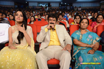 Filename=Lion_Audio_100.jpg
Filesize=233KiB
Dimensions=1000x667
Date added=Apr 09, 2015 Lion_Audio_100.jpg