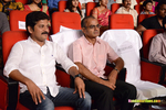 Filename=Lion_Audio_127.jpg
Filesize=193KiB
Dimensions=1000x667
Date added=Apr 09, 2015 Lion_Audio_127.jpg