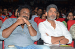 Filename=Nannaku_Prematho_Audio_048.jpg
Filesize=270KiB
Dimensions=1000x662
Date added=Jan 11, 2016 Nannaku_Prematho_Audio_048.jpg