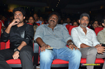 Filename=Nannaku_Prematho_Audio_052.jpg
Filesize=222KiB
Dimensions=1000x662
Date added=Jan 11, 2016 Nannaku_Prematho_Audio_052.jpg
