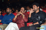 Filename=Nannaku_Prematho_Audio_059.jpg
Filesize=198KiB
Dimensions=1000x662
Date added=Jan 11, 2016 Nannaku_Prematho_Audio_059.jpg