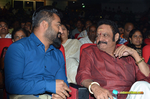 Filename=Nannaku_Prematho_Audio_100.jpg
Filesize=220KiB
Dimensions=1000x662
Date added=Jan 11, 2016 Nannaku_Prematho_Audio_100.jpg
