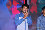 Filename=Sher_Audio_099.jpg
Filesize=211KiB
Dimensions=1000x667
Date added=Oct 11, 2015 Sher_Audio_099.jpg