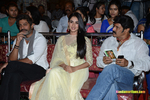 Filename=Legend_Successmeet_310.jpg
Filesize=229KiB
Dimensions=1000x667
Date added=Apr 10, 2014 Legend_Successmeet_310.jpg