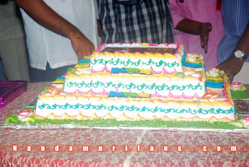 NTRJr_2010_Bday_059.jpg