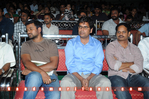 Filename=APcinegoers_2009_101.jpg
Filesize=159KiB
Dimensions=800x533
Date added=Apr 03, 2014 APcinegoers_2009_101.jpg