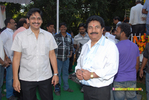 Filename=aadifilmmuhurath_038.jpg
Filesize=215KiB
Dimensions=1000x671
Date added=Apr 03, 2014 aadifilmmuhurath_038.jpg