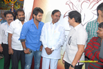 Filename=aadifilmmuhurath_050.jpg
Filesize=205KiB
Dimensions=1000x671
Date added=Apr 03, 2014 aadifilmmuhurath_050.jpg
