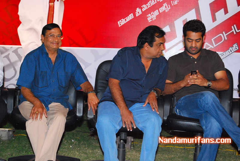 Adhurs_success_049.jpg