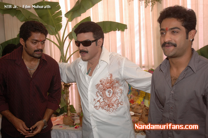 NTR-film-muhurath-028.jpg