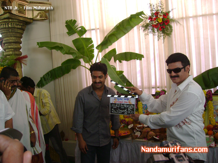 NTR-film-muhurath-114.jpg