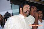 Filename=Almas-Bakery-132.jpg
Filesize=102KiB
Dimensions=800x531
Date added=Apr 03, 2014 Almas-Bakery-132.jpg