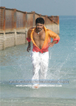 Filename=asad_32-01.jpg
Filesize=83KiB
Dimensions=500x700
Date added=Apr 03, 2014 asad_32-01.jpg