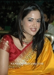 Filename=ashok audio_005.jpg
Filesize=78KiB
Dimensions=500x696
Date added=Apr 03, 2014 ashok audio_005.jpg