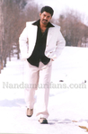 Filename=23.jpg
Filesize=42KiB
Dimensions=500x758
Date added=Apr 03, 2014 23.jpg