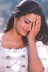 Filename=27.jpg
Filesize=70KiB
Dimensions=500x751
Date added=Apr 03, 2014 27.jpg