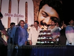 Filename=Image00016.jpg
Filesize=54KiB
Dimensions=600x450
Date added=Apr 03, 2014 Image00016.jpg