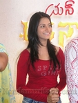 Filename=pbarts31_0.jpg
Filesize=60KiB
Dimensions=500x660
Date added=Apr 03, 2014 pbarts31_0.jpg