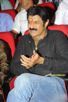 Filename=UKUP_Audio_029.jpg
Filesize=393KiB
Dimensions=800x1202
Date added=Apr 04, 2014 UKUP_Audio_029.jpg