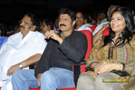 Filename=UKUP_Audio_226.jpg
Filesize=234KiB
Dimensions=1000x666
Date added=Apr 04, 2014 UKUP_Audio_226.jpg