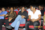 Filename=UKUP_Audio_232.jpg
Filesize=213KiB
Dimensions=1000x666
Date added=Apr 04, 2014 UKUP_Audio_232.jpg