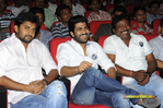 Filename=UKUP_Audio_251.jpg
Filesize=229KiB
Dimensions=1000x666
Date added=Apr 04, 2014 UKUP_Audio_251.jpg