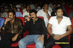 Filename=UKUP_Audio_350.jpg
Filesize=196KiB
Dimensions=1000x664
Date added=Apr 04, 2014 UKUP_Audio_350.jpg