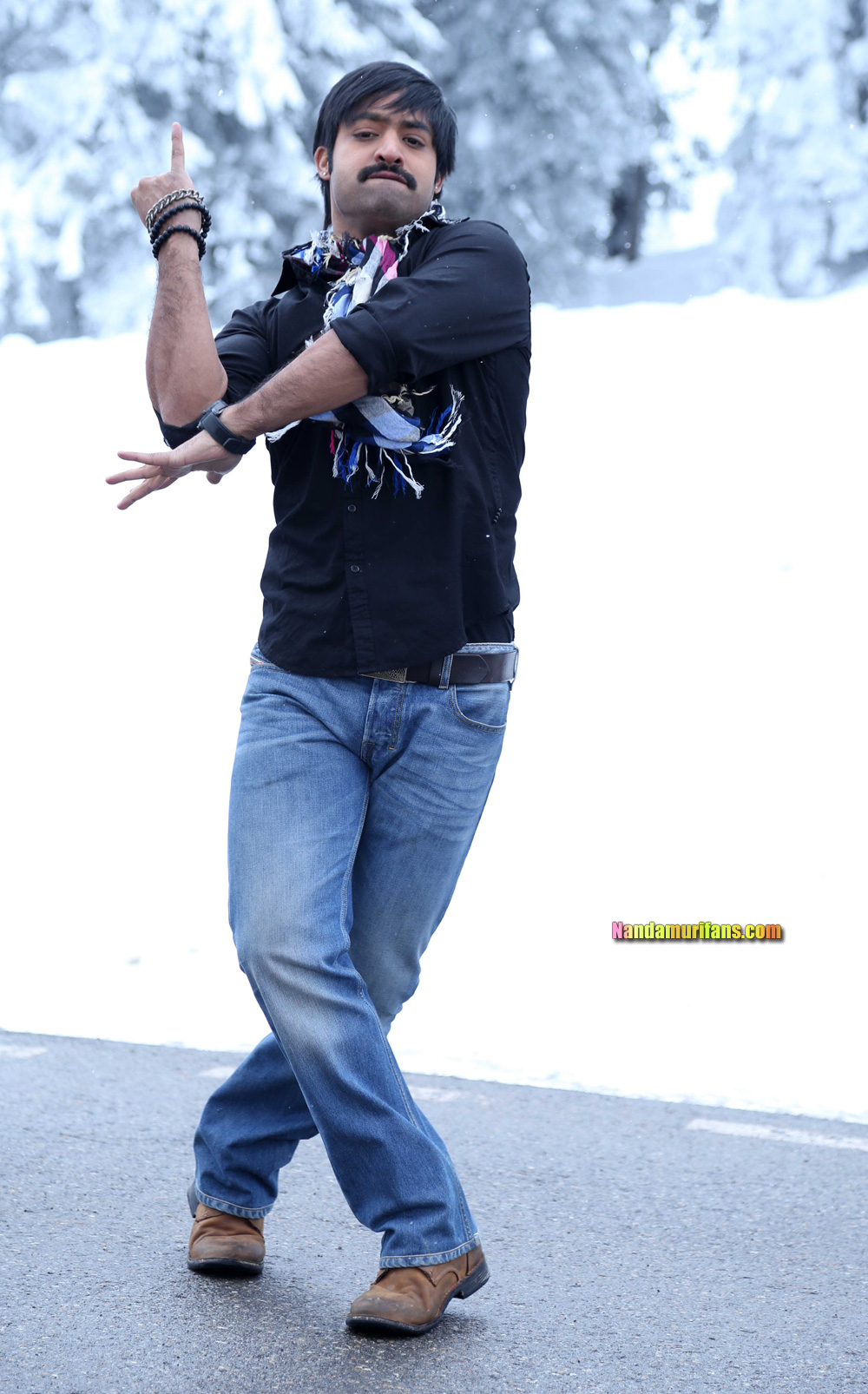 Baadshah_9924.jpg