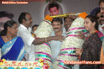 Filename=nbkbday07_0__174_.jpg
Filesize=112KiB
Dimensions=677x450
Date added=Apr 03, 2014 nbkbday07_0__174_.jpg