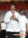 Filename=nbkbday07_0__38_.jpg
Filesize=80KiB
Dimensions=500x667
Date added=Apr 03, 2014 nbkbday07_0__38_.jpg