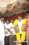 Filename=nbkbday07_0__6_.jpg
Filesize=118KiB
Dimensions=500x753
Date added=Apr 03, 2014 nbkbday07_0__6_.jpg