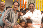 Filename=NBK-BIRTHDAY-2009-DF-027.jpg
Filesize=160KiB
Dimensions=800x531
Date added=Apr 03, 2014 NBK-BIRTHDAY-2009-DF-027.jpg