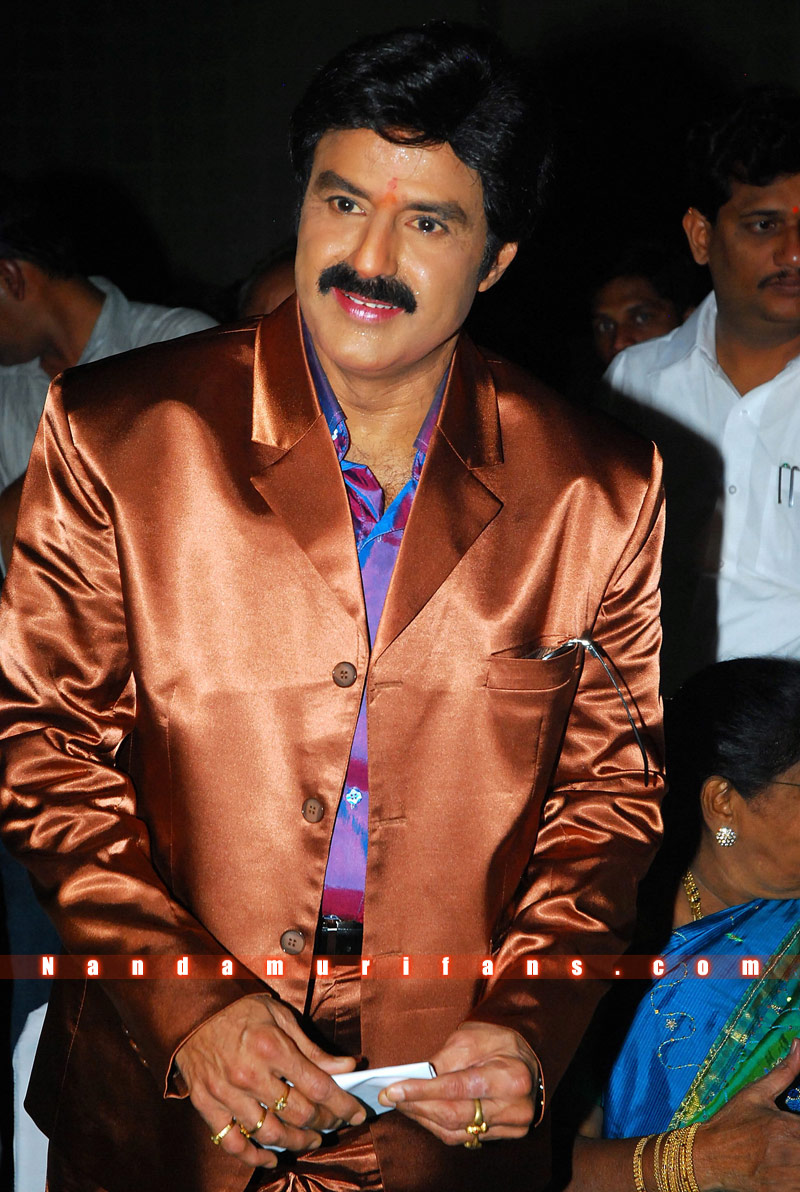 Balakrishna_Birthday_2010_020.jpg