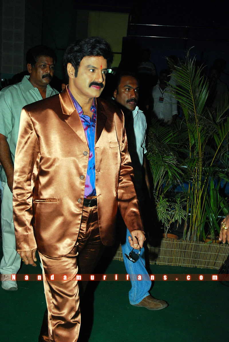 Balakrishna_Birthday_2010_030.jpg