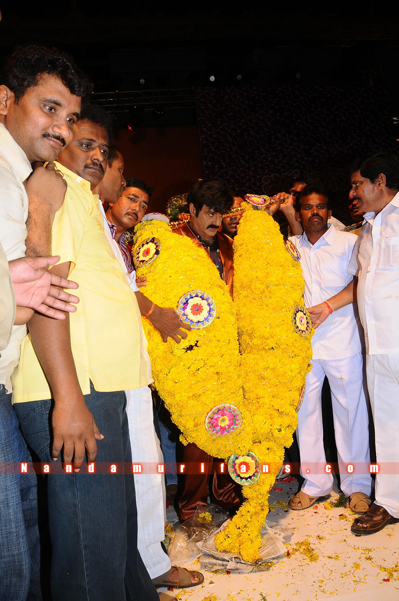 Balakrishna_Birthday_2010_032.jpg