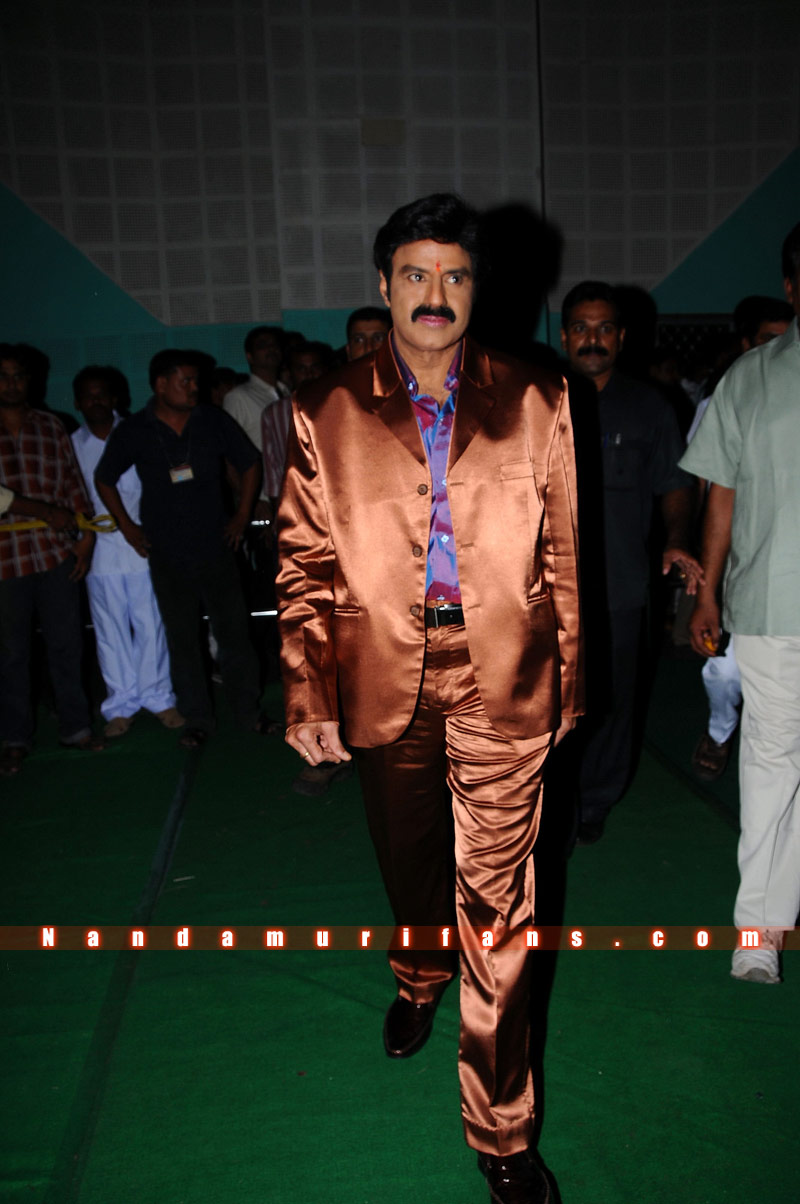 Balakrishna_Birthday_2010_077.jpg