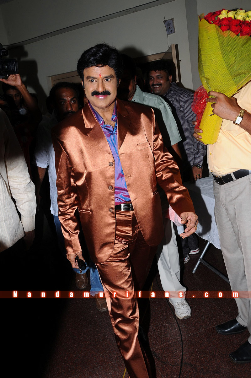 Balakrishna_Birthday_2010_080.jpg