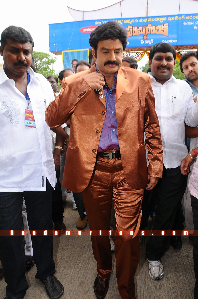 Balakrishna_Birthday_2010_091.jpg