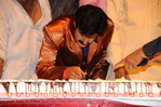Filename=Balakrishna_Birthday_2010_208.jpg
Filesize=102KiB
Dimensions=800x531
Date added=Apr 03, 2014 Balakrishna_Birthday_2010_208.jpg