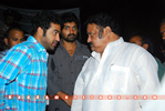 Filename=Balakrishna_Birthday_2010_275.jpg
Filesize=96KiB
Dimensions=800x537
Date added=Apr 03, 2014 Balakrishna_Birthday_2010_275.jpg