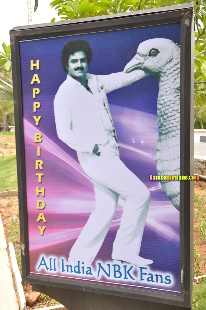 NBKBday_Flexi_010.jpg