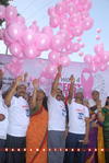 Filename=BCAR_2011_023.jpg
Filesize=220KiB
Dimensions=800x1192
Date added=Apr 04, 2014 BCAR_2011_023.jpg
