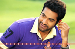 Filename=Brindavanam_017.jpg
Filesize=200KiB
Dimensions=1000x665
Date added=Apr 03, 2014 Brindavanam_017.jpg
