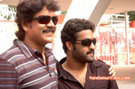 Filename=Brindaavanam-Muhurath-090.jpg
Filesize=121KiB
Dimensions=800x531
Date added=Apr 03, 2014 Brindaavanam-Muhurath-090.jpg