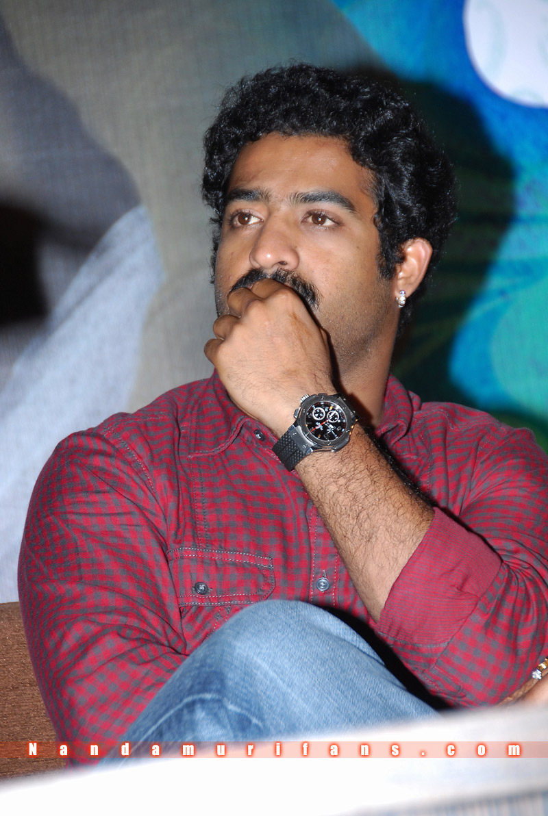 Brindavanam_Successmeet_006.jpg